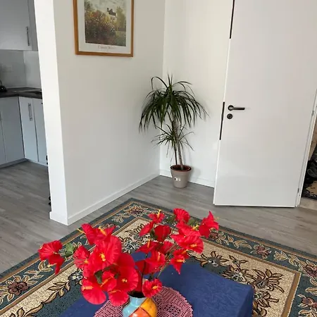 Maison Neuve Chaleureuse Pour 1 A 4 Personnes Lägenhet Schiltigheim