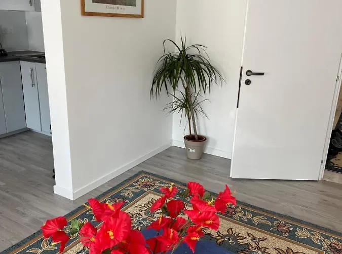 Maison Neuve Chaleureuse Pour 1 A 4 Personnes Lejlighed Schiltigheim